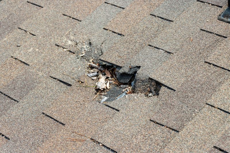 Damaged Roof Replacement in Framingham, MA